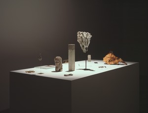 Carol Bove, La Traversée difficile, 2008. Steel, glass, wood, concrete, silver, brass, bronze, wax, insulating foam and steel, coral, aluminum, seeds, rocks, shells, paper, and photograph, 73 ⅝ × 96 × 48 inches (186.9 × 243.8 × 121.9 cm) © Carol Bove Studio LLC. Photo: Ivo Farber