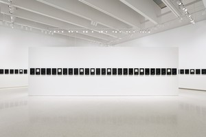 Installation view, Taryn Simon: Birds of the West Indies. Carnegie International 56th Edition, Carnegie Museum of Art, Pittsburgh, October 5, 2013–March 16, 2014 Artwork © Taryn Simon. Photo: Greenhouse Media, courtesy Carnegie Museum of Art and Gagosian