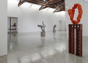 Installation view. Artwork © Carol Bove Studio LLC. Photo: Maris Hutchinson