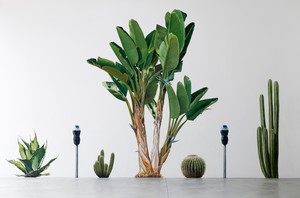 Alex Israel, Valet Parking, 2013 (detail). Site-specific mural, Le Consortium, Dijon, France © Alex Israel