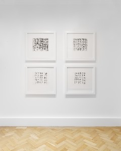 Installation view. Artwork © 2025 Estate of Brice Marden/Artists Rights Society (ARS), New York. Photo: Maris Hutchinson