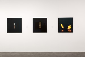 Installation view, Taryn Simon: A Soldier Is Taught to Bayonet the Enemy and Not Some Undefined Abstraction. Staatliche Kunstsammlungen, Dresden, Germany, October 27, 2016–January 15, 2017 Artwork © Taryn Simon. Photo: David Pinzer, courtesy Staatliche Kunstsammlungen, Dresden