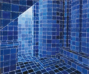 Adriana Varejão: Interiors