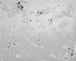 Urs Fischer, Solitaries, 2025. Aluminum panel, honeycomb composite, acrylic adhesive, acrylic primer, pigment, epoxy, acrylic ink, acrylic silkscreen medium, acrylic paint, and spray enamel, 80 × 100 inches (203.2 × 254 cm) © Urs Fischer. Photo: Stefan Altenburger