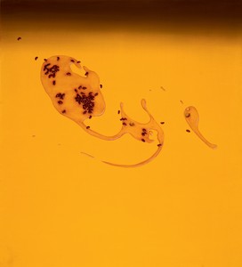 Ed Ruscha, Eye, 1969. Oil on canvas, 60 × 54 inches (152.4 × 137.2 cm), Oakland Museum of California © Ed Ruscha