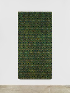 Carol Bove, Untitled, 2014. Peacock feathers on linen with UV-filtering acrylic, 96 ½ × 48 ½ × 5 inches (245.1 × 123.2 × 12.7 cm) © Carol Bove Studio LLC. Photo: Maris Hutchinson