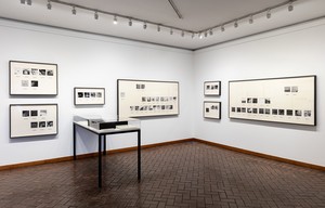 Installation view, Taryn Simon: Birds of the West Indies. Conservatory Gallery, Brooklyn Botanic Garden, New York, June 7–October 23, 2022 Artwork © Taryn Simon. Photo: Liz Ligon