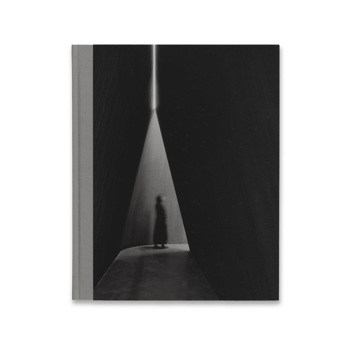 Cover of the book Richard Serra, published in 2016