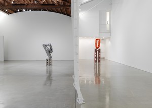 Installation view. Artwork © Carol Bove Studio LLC. Photo: Maris Hutchinson