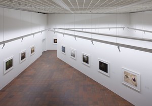 Installation view, Taryn Simon: An American Index of the Hidden and Unfamiliar. Louisiana Museum of Modern Art, Denmark, October 29, 2016–January 15, 2017 Artwork © Taryn Simon. Photo: Poul Buchard/Broendum &amp; Co, courtesy Louisiana Museum of Modern Art
