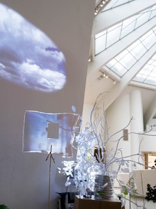 Sarah Sze: Timelapse