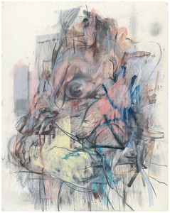 Jenny Saville, Pastel Bodies, 2014. Pastel on paper, 59 ⅞ × 48 ¼ inches (152 × 122.5 cm) © Jenny Saville