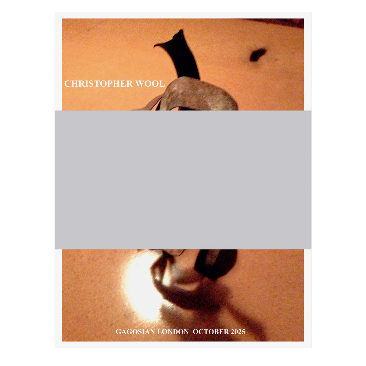 Christopher Wool 2025 poster