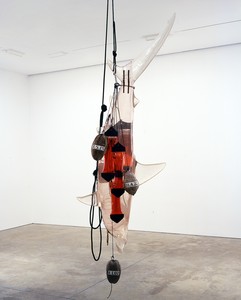 Ashley Bickerton, Bismarck Archipelago Shark, 2002. Polyurethane resin, rubber, canvas, rope, acrylic paint, coconuts, polyvinyl chloride, and mouthwash, 157 ⅞ × 30 ¾ × 39 ⅜ inches (401 × 78 × 100 cm) © Ashley Bickerton