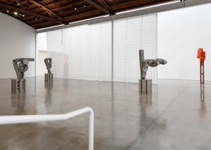 Installation view. Artwork © Carol Bove Studio LLC. Photo: Maris Hutchinson